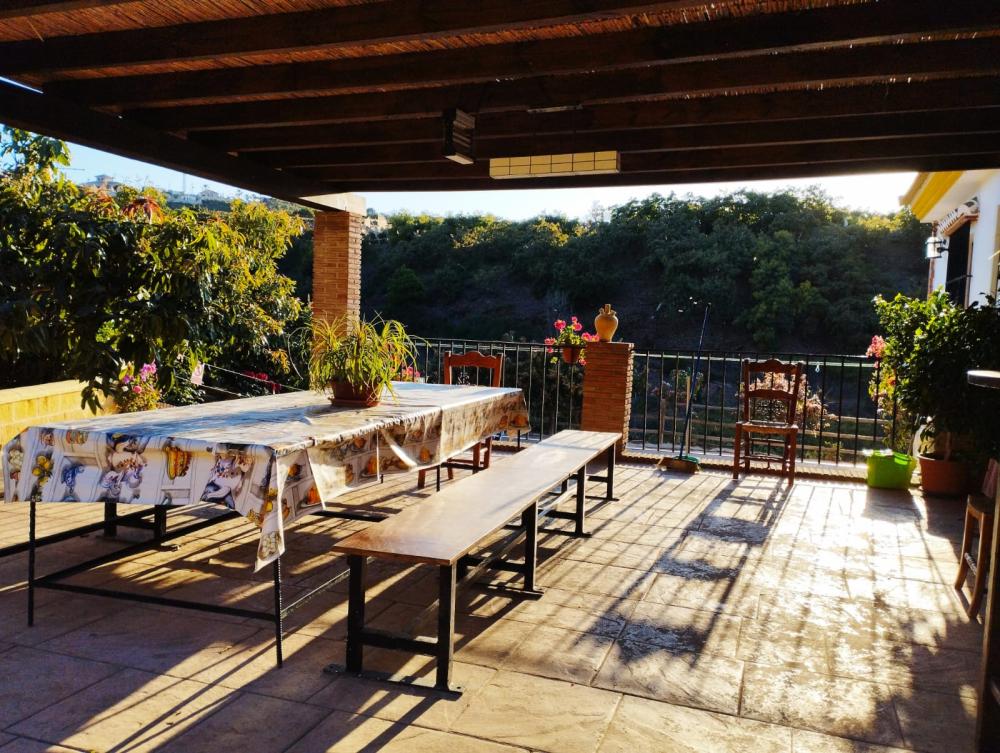  for sale villa Benamocarra Axarquía 22