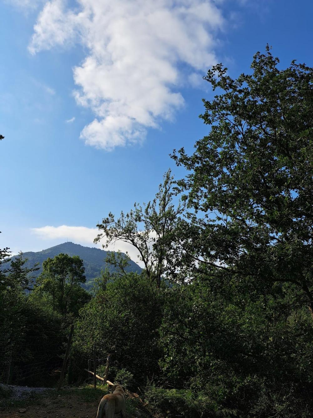  for sale country house Campo De Caso Nalón 38