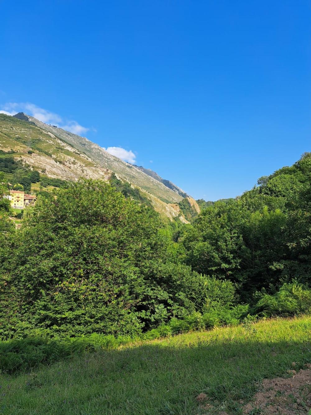  for sale country house Campo De Caso Nalón 35