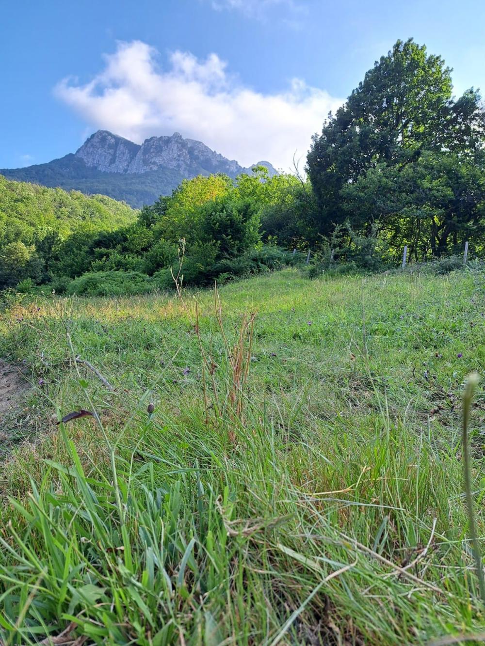  for sale country house Campo De Caso Nalón 36