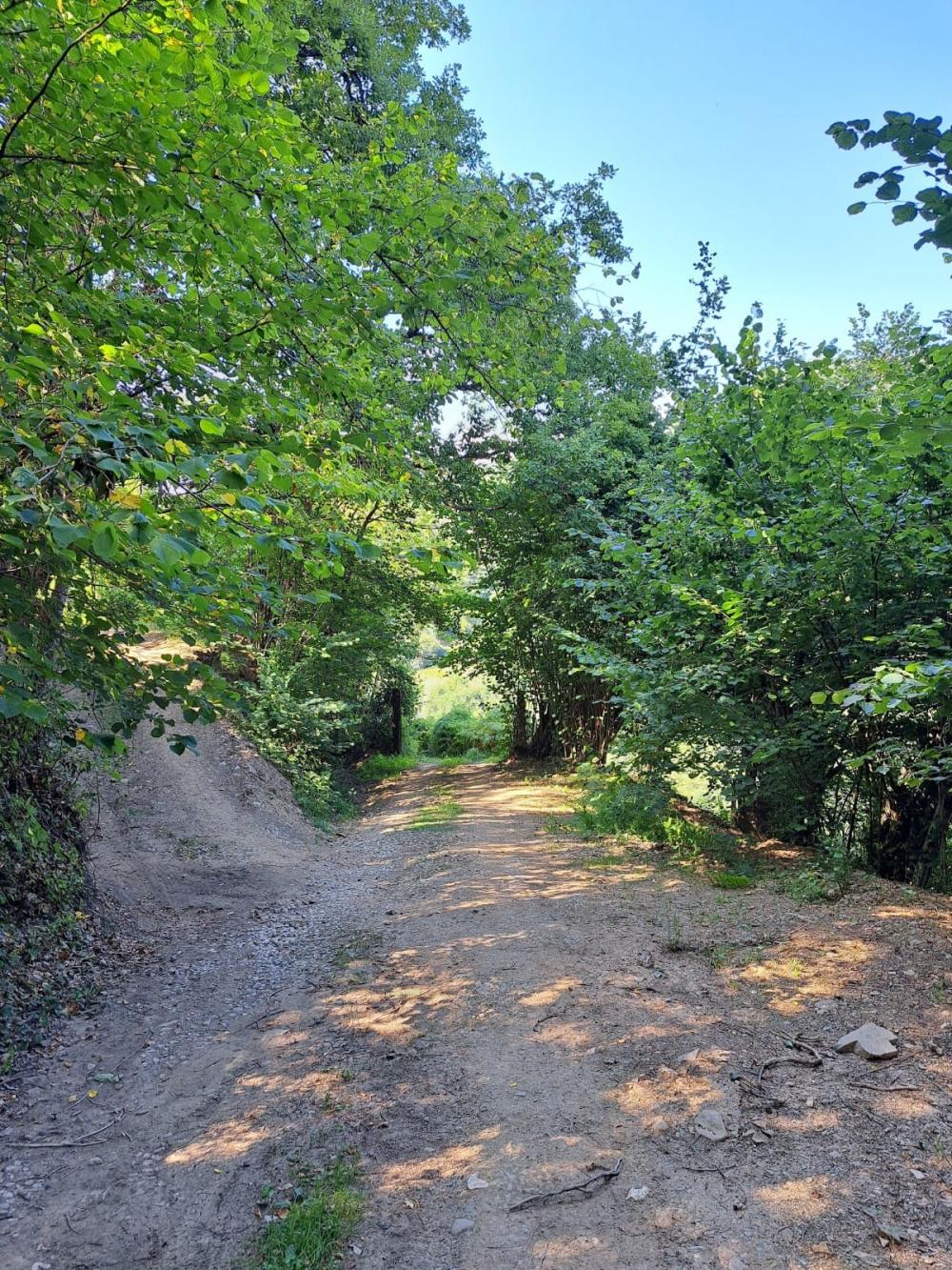  for sale country house Campo De Caso Nalón 25