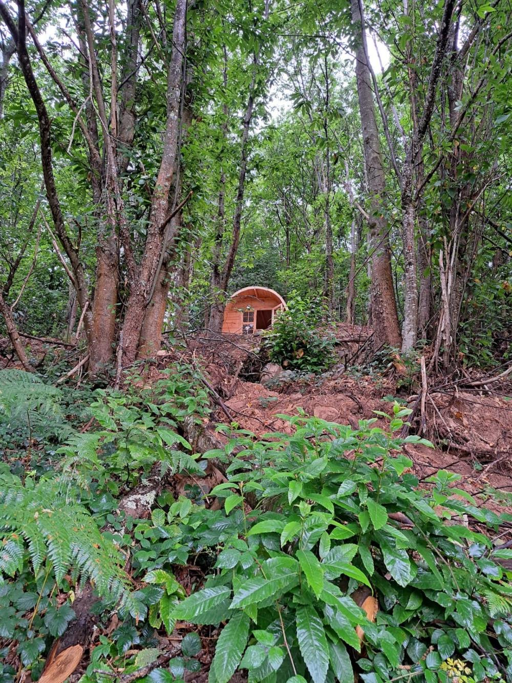  for sale country house Campo De Caso Nalón 55