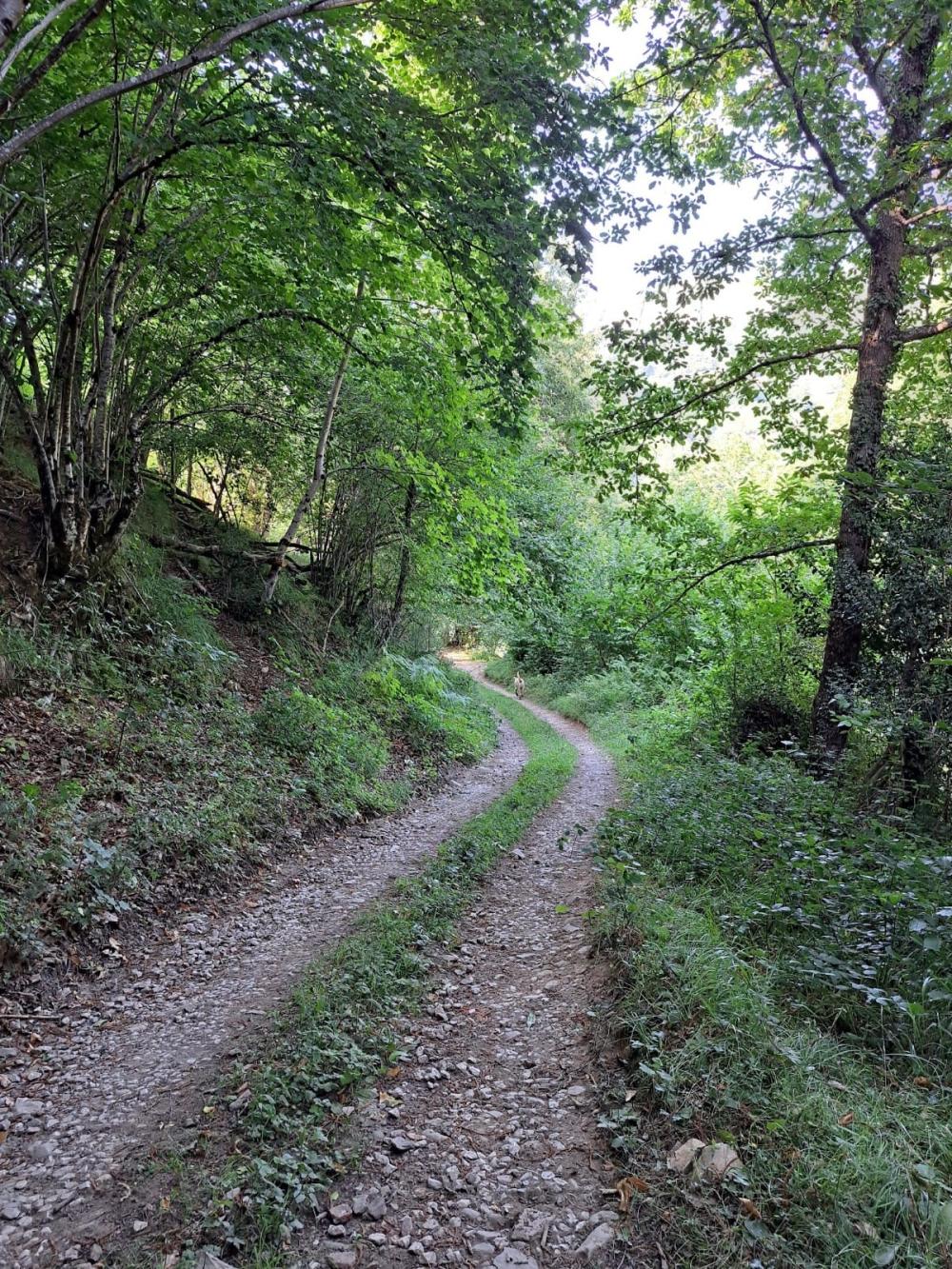  for sale country house Campo De Caso Nalón 24