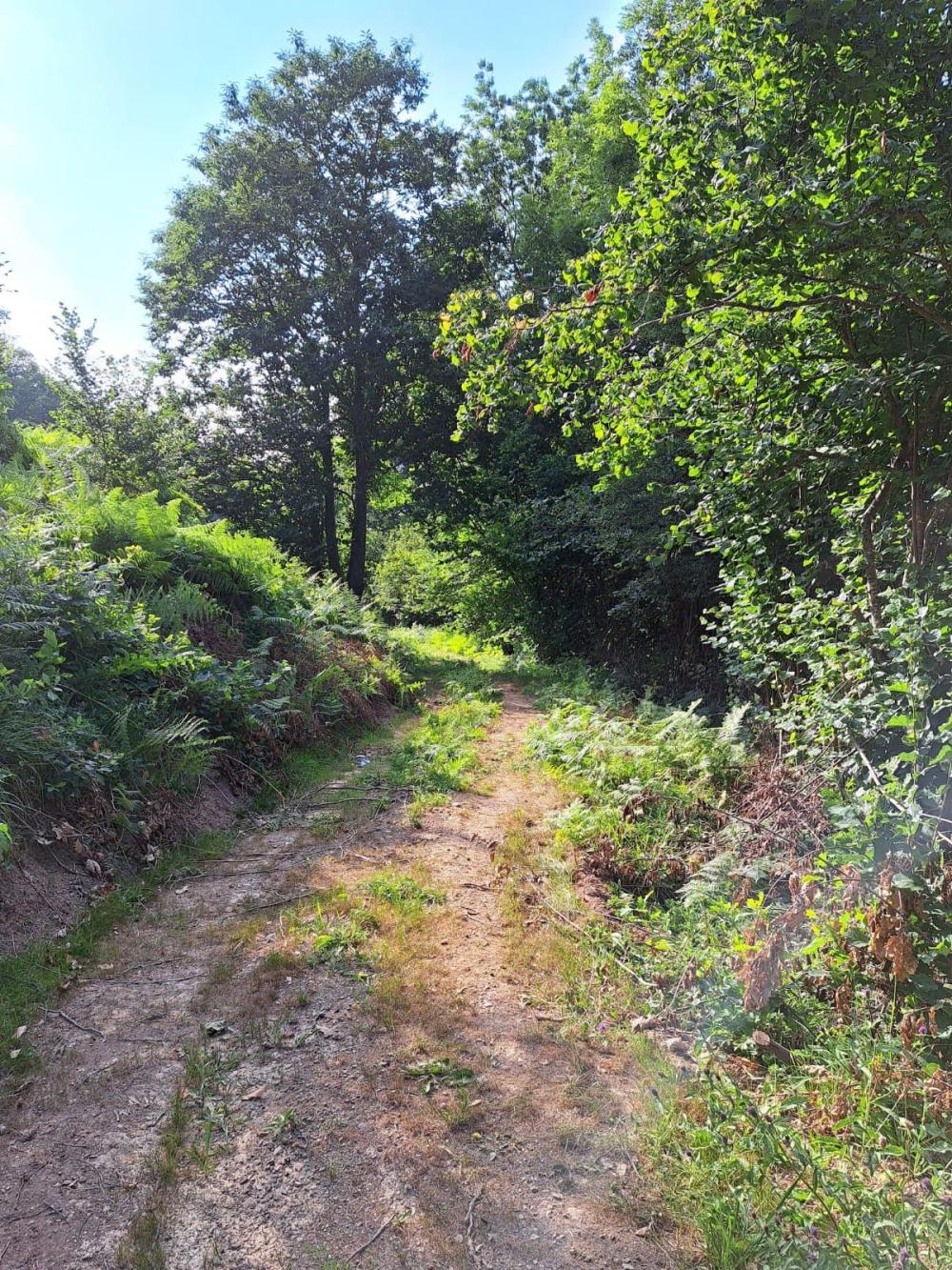  for sale country house Campo De Caso Nalón 51