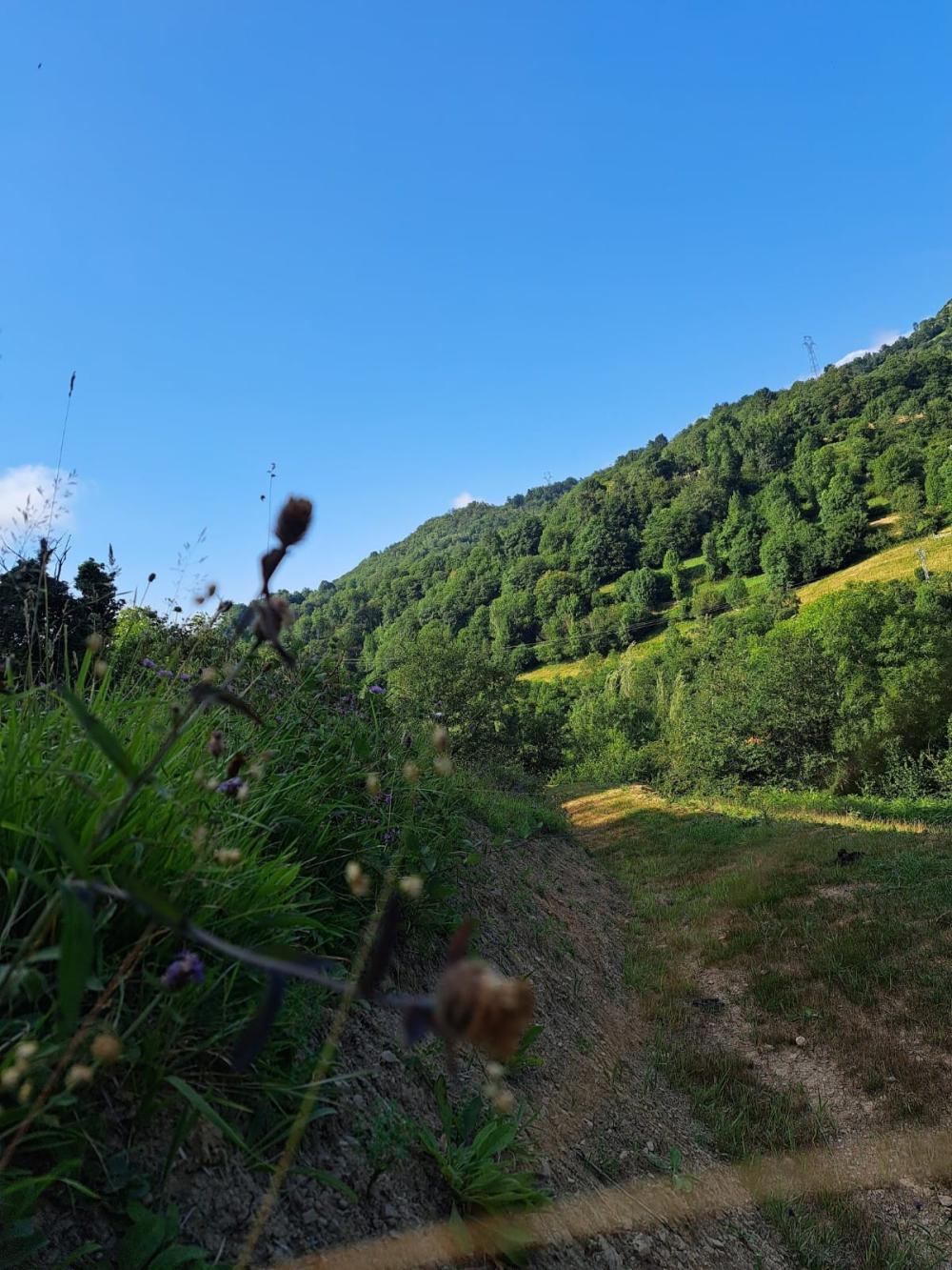  for sale country house Campo De Caso Nalón 34