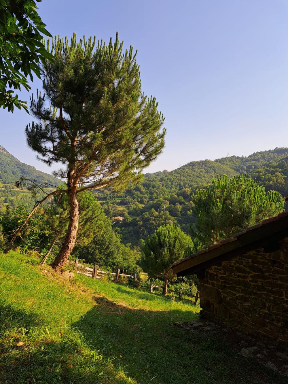  for sale country house Campo De Caso Nalón 11