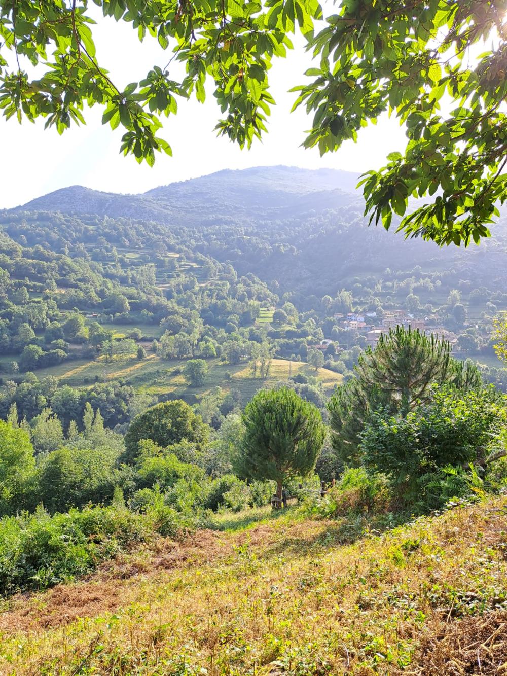  for sale country house Campo De Caso Nalón 12