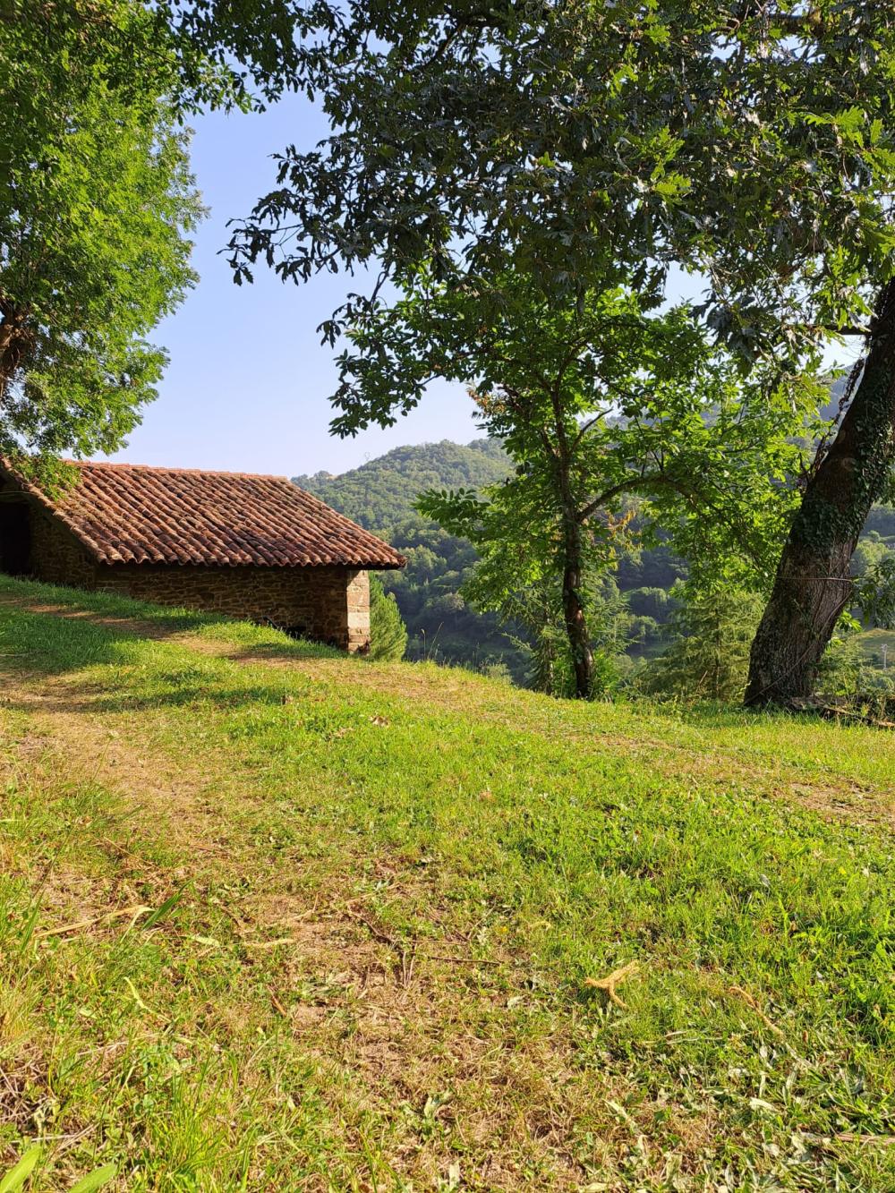  for sale country house Campo De Caso Nalón 10