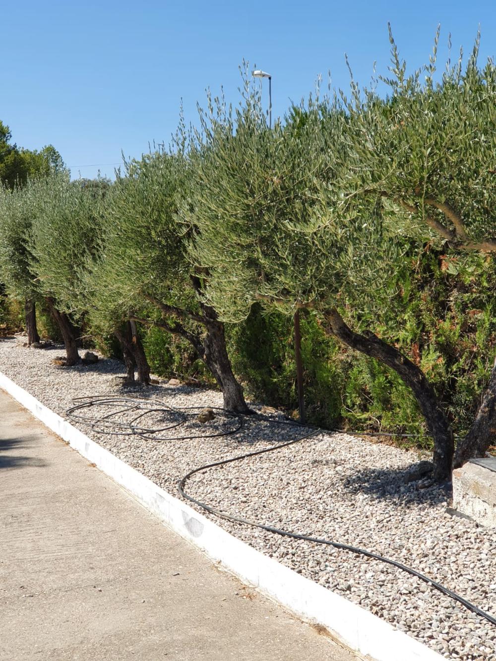  for sale country house Alcolea Córdoba 8