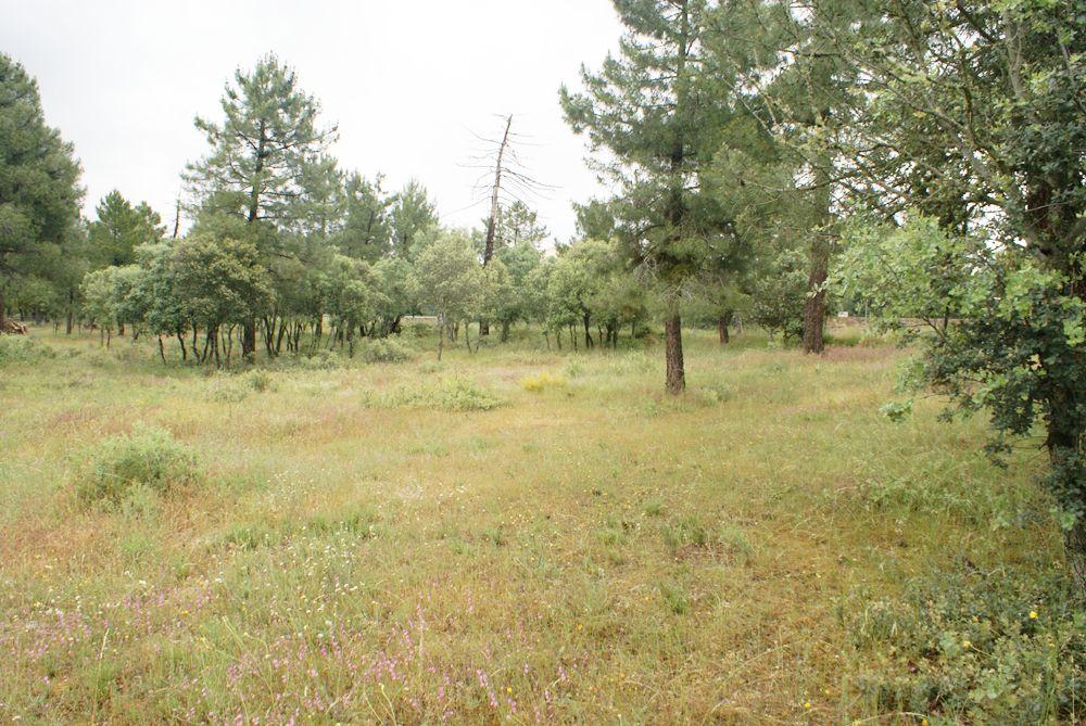  for sale plot Marugán Campiña Segoviana 5