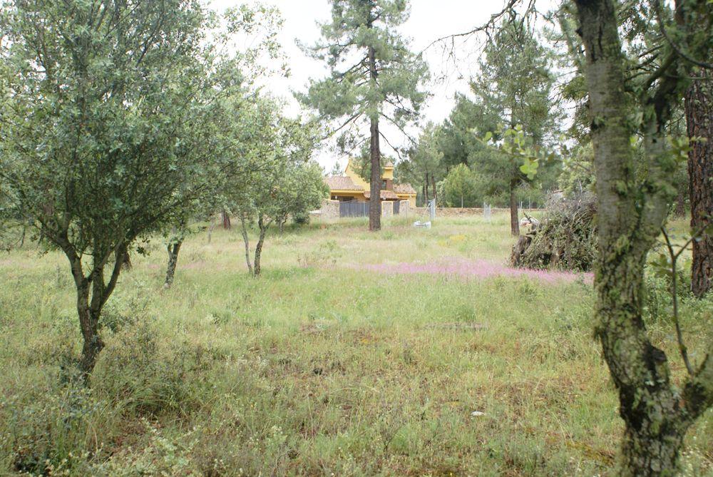  for sale plot Marugán Campiña Segoviana 10