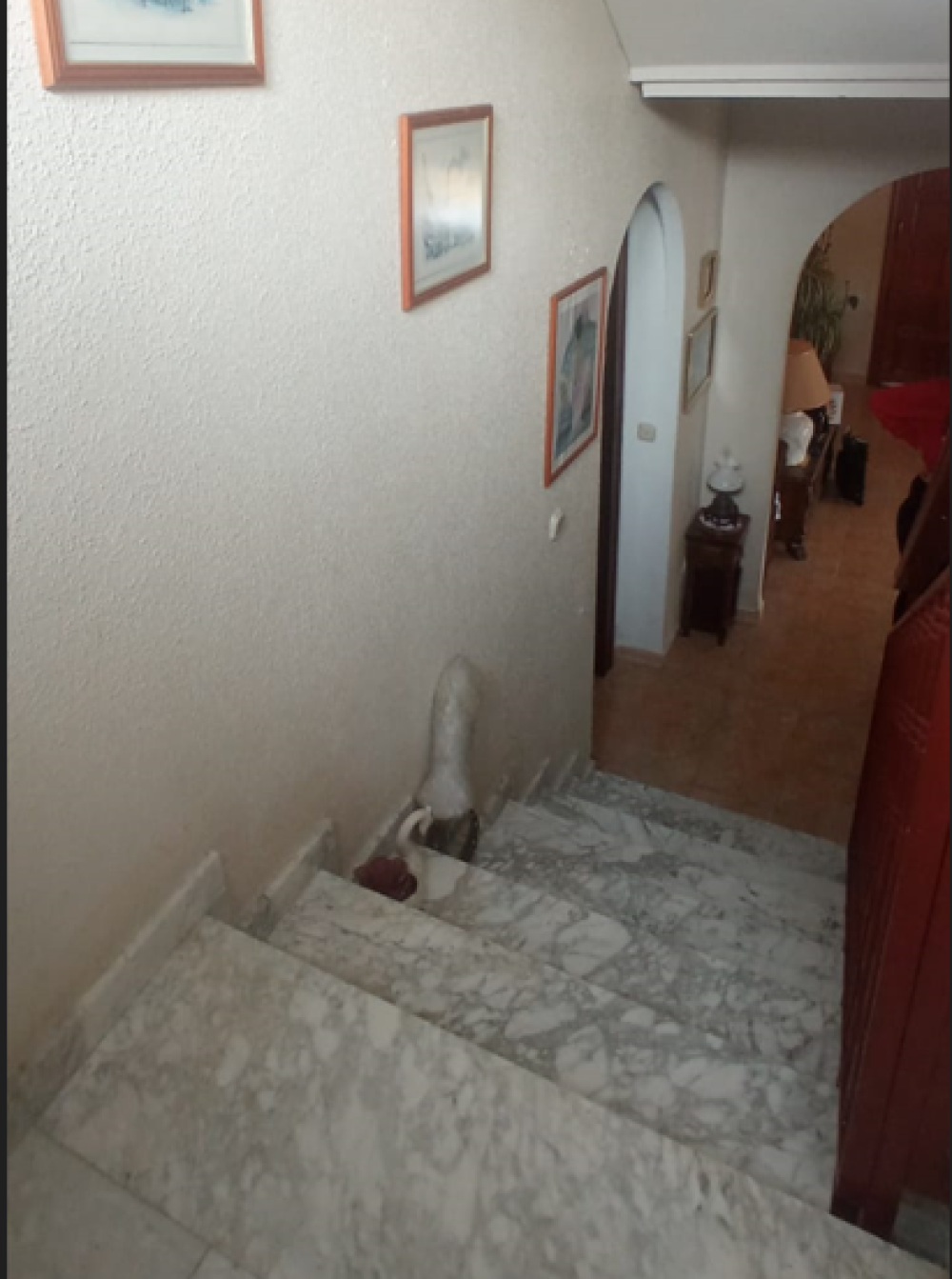  for sale villa Calabardina Alto Guadalentín 61