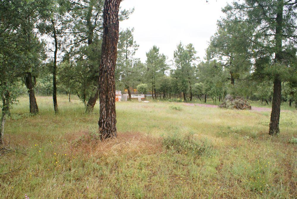  for sale plot Marugán Campiña Segoviana 11