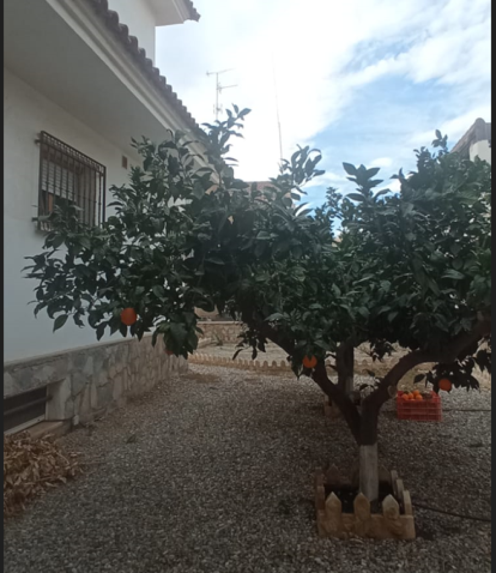  for sale villa Calabardina Alto Guadalentín 22