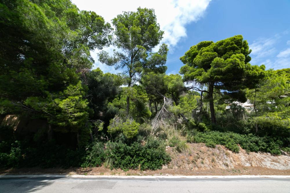  for sale plot Costa De Los Pinos Llevant 10