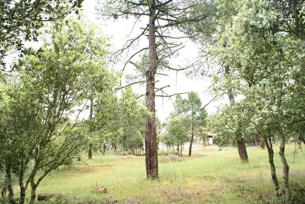 for sale plot Marugán Campiña Segoviana 9