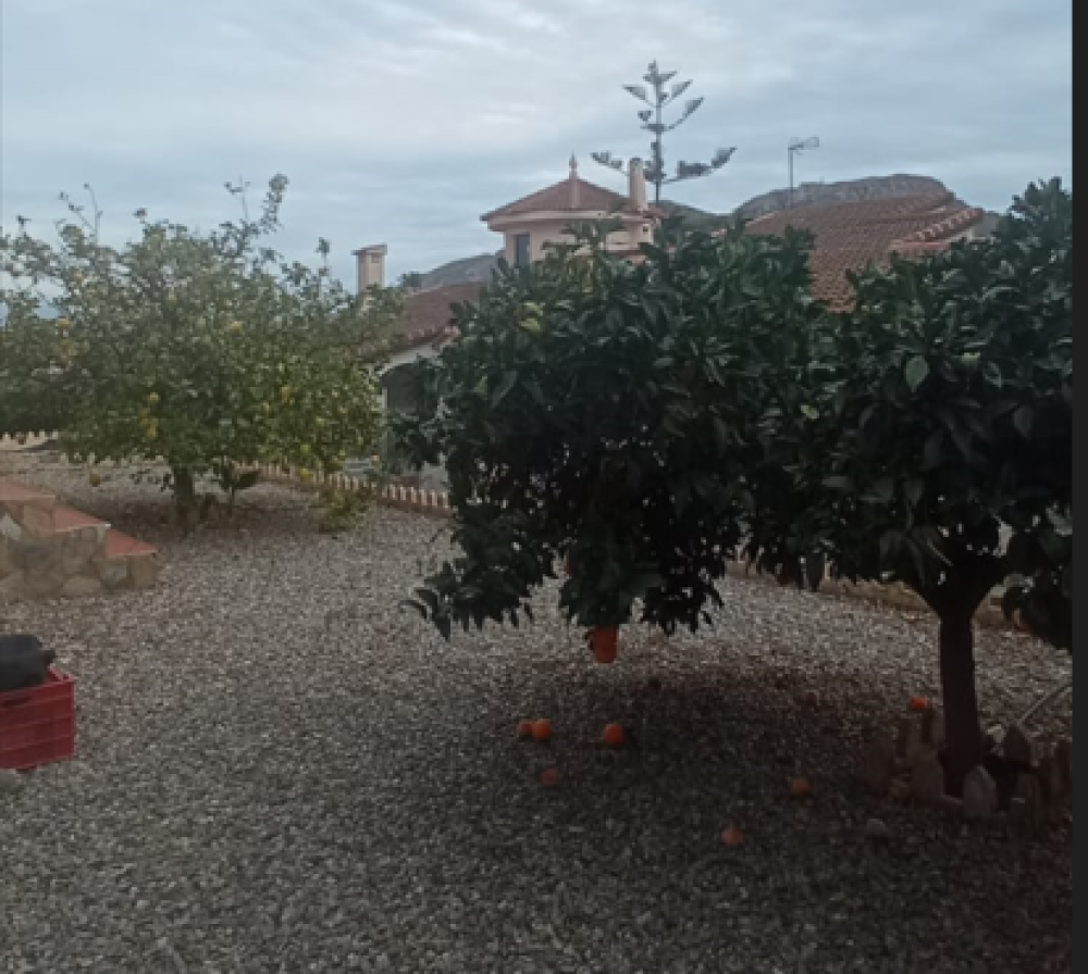  for sale villa Calabardina Alto Guadalentín 26