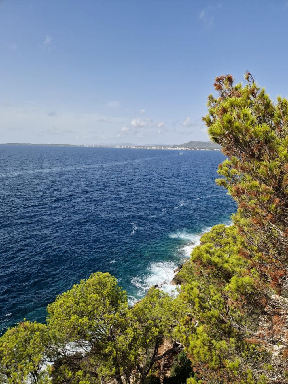  for sale plot Costa De Los Pinos Llevant 3