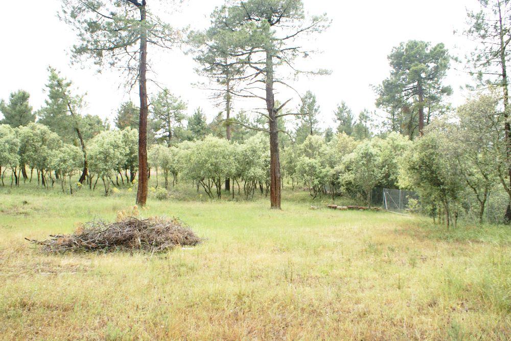  for sale plot Marugán Campiña Segoviana 12