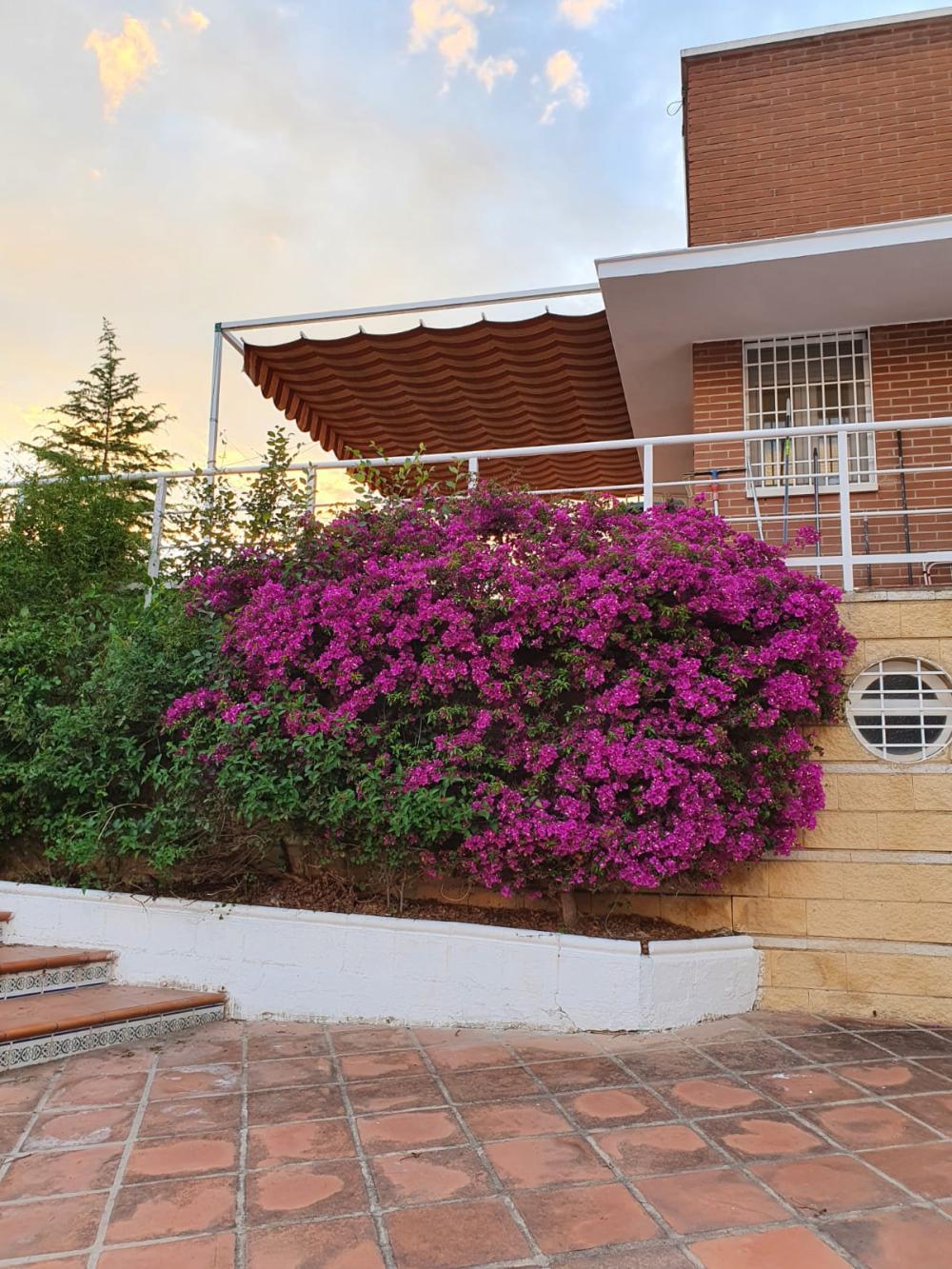  for sale country house Alcolea Córdoba 5