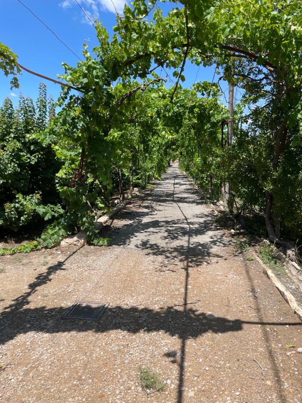  for sale country house Miravet Ribera D'ebre 5