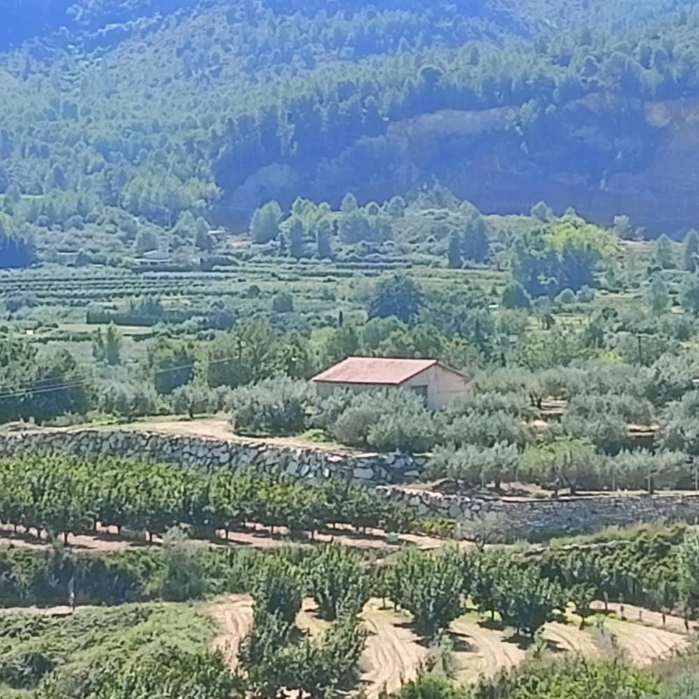  for sale house Rugat Vall D'albaida 1