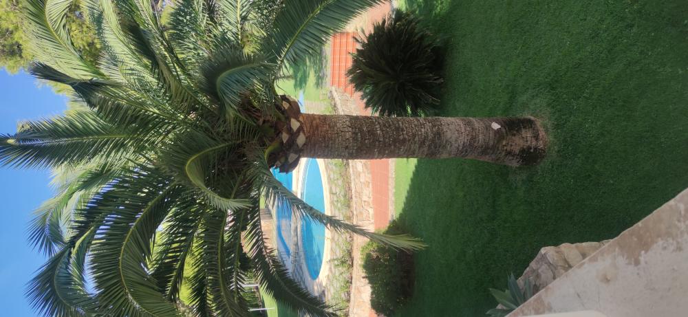  for sale apartment Montañar Marina Alta 15