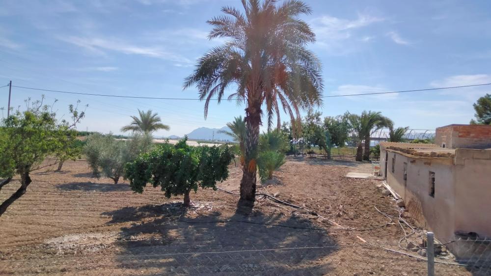  for sale country house La Murada Baix Segura 4