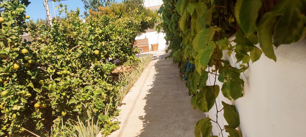  for sale house Sant Jordi De Ses Salines Sant Josep De Sa Talaia 18