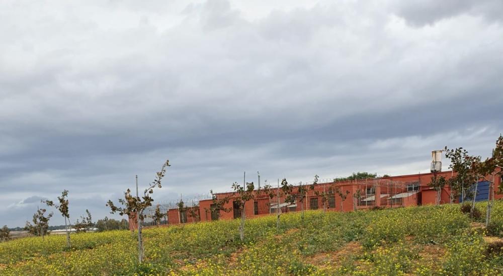  for sale country house Rociana Del Condado Condado (El) 2