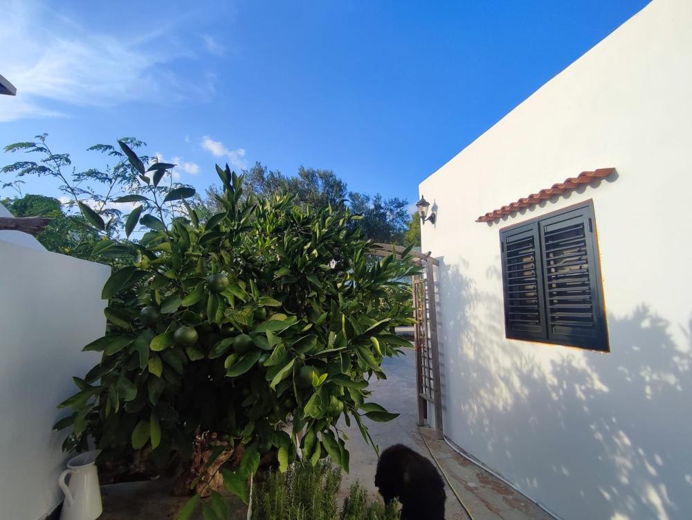  for sale house Sant Jordi De Ses Salines Sant Josep De Sa Talaia 5