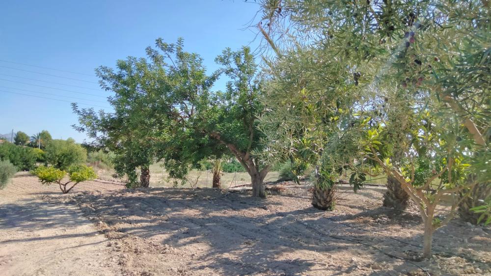 for sale country house La Murada Baix Segura 2