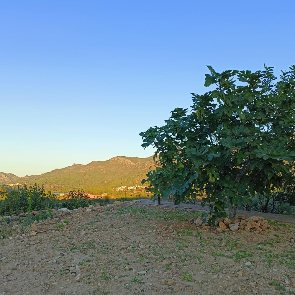  for sale house Rugat Vall D'albaida 4