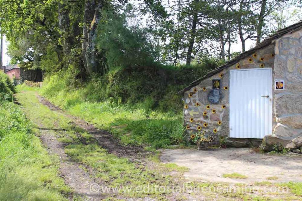  for sale house Friol Lugo 3