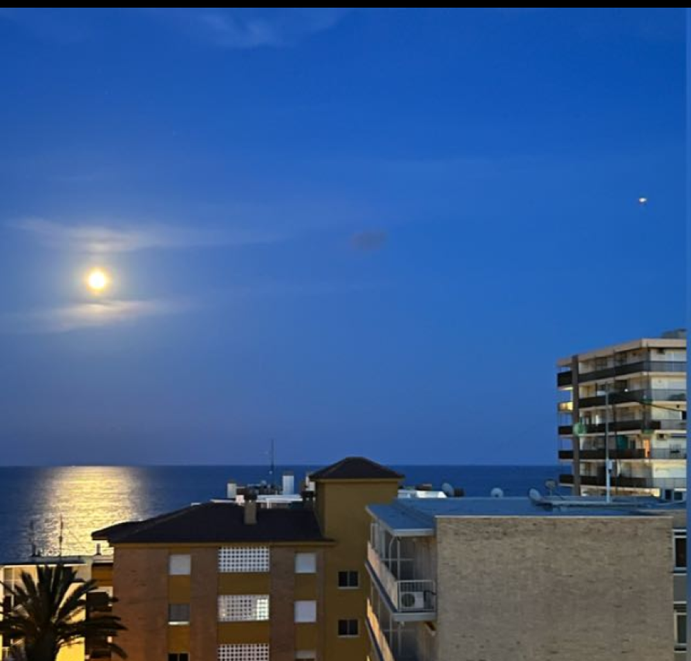  for sale apartment El Campello Alacantí 4