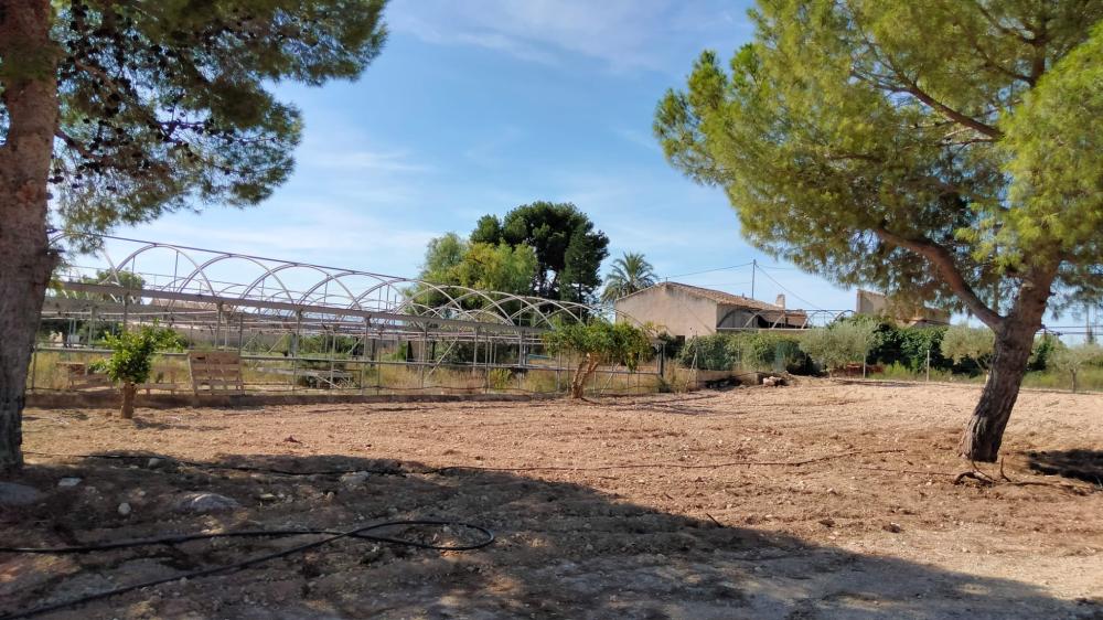  for sale country house La Murada Baix Segura 16