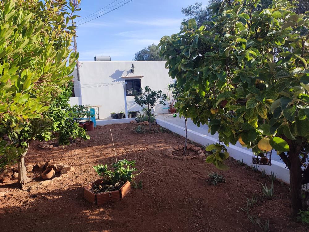  for sale house Sant Jordi De Ses Salines Sant Josep De Sa Talaia 11
