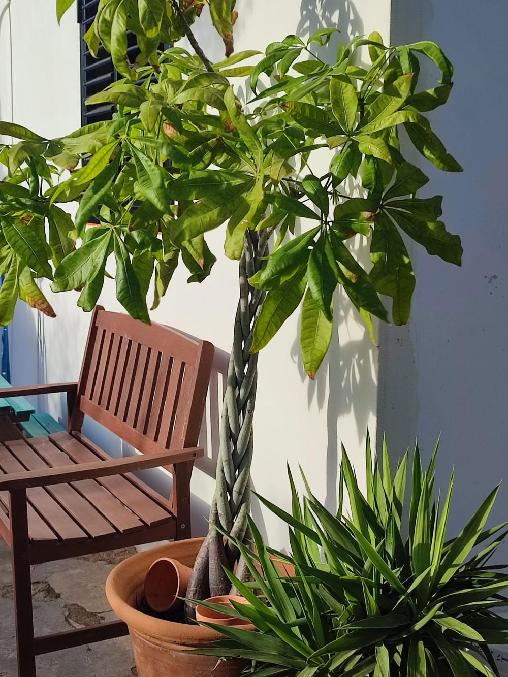  for sale house Sant Jordi De Ses Salines Sant Josep De Sa Talaia 8