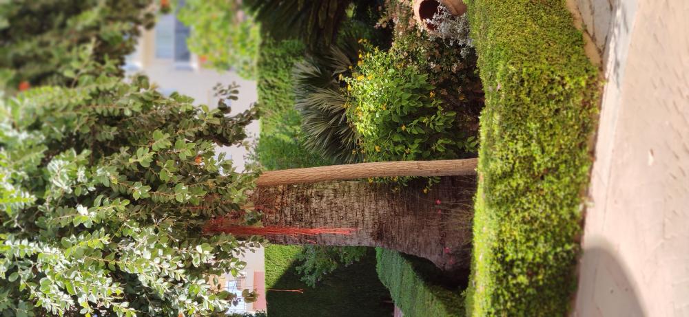  for sale apartment Montañar Marina Alta 16