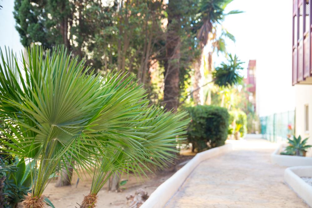  for sale apartment La Duquesa Costa Del Sol Occidental 48