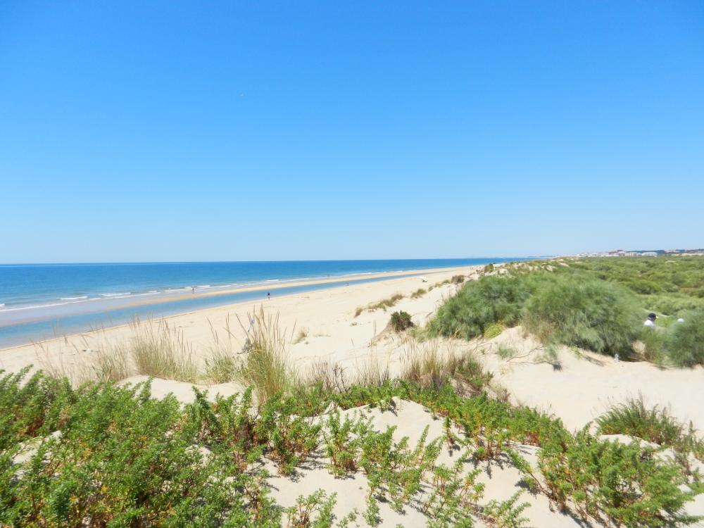 for sale terraced house Islantilla Costa Occidental 27