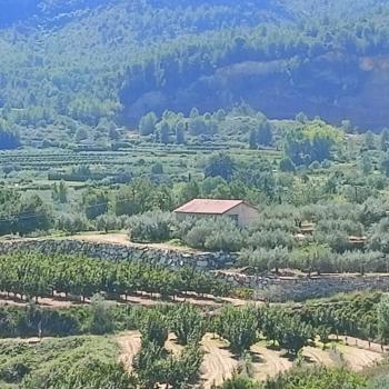 Rugat Vall D''albaida house foto 5499344