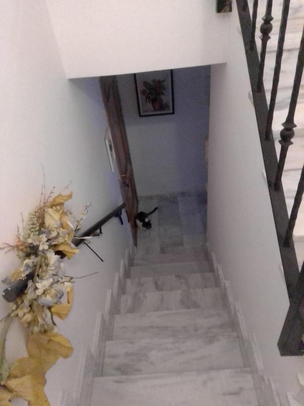  for sale penthouse Pozuelo De Calatrava Campo De Calatrava 7
