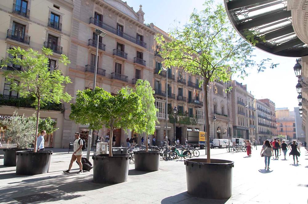  for sale apartment Ciutat Vella-Raval Barcelonès 30
