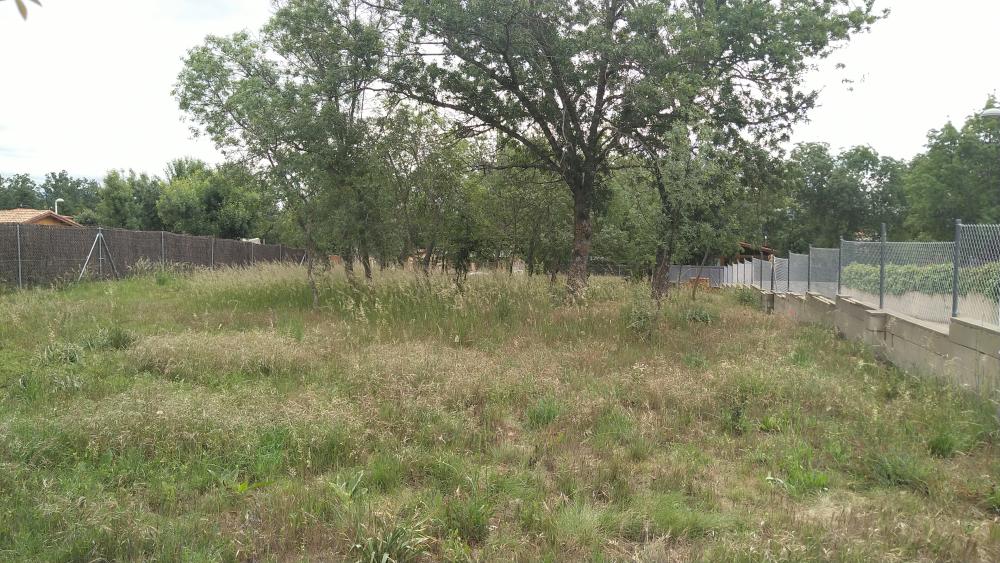  for sale plot Villavieja Del Lozoya Sierra Norte 4