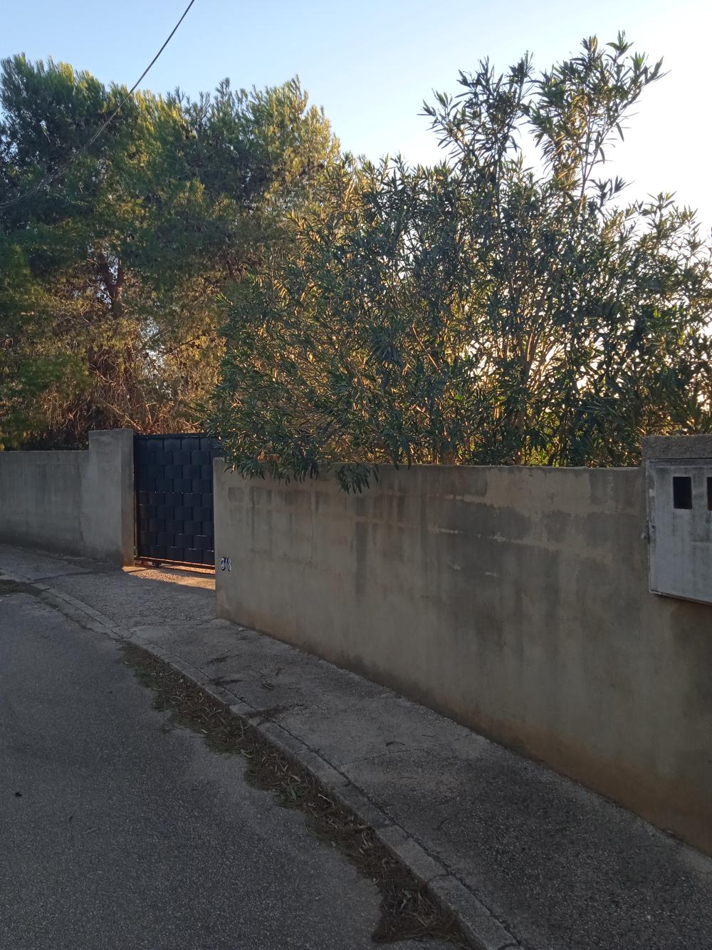 for sale plot Alberic Ribera Alta 1