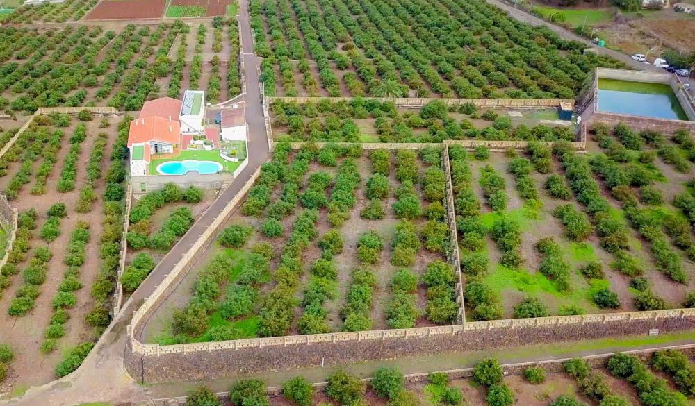  for sale country house El Socorro Zona Metropolitana 8