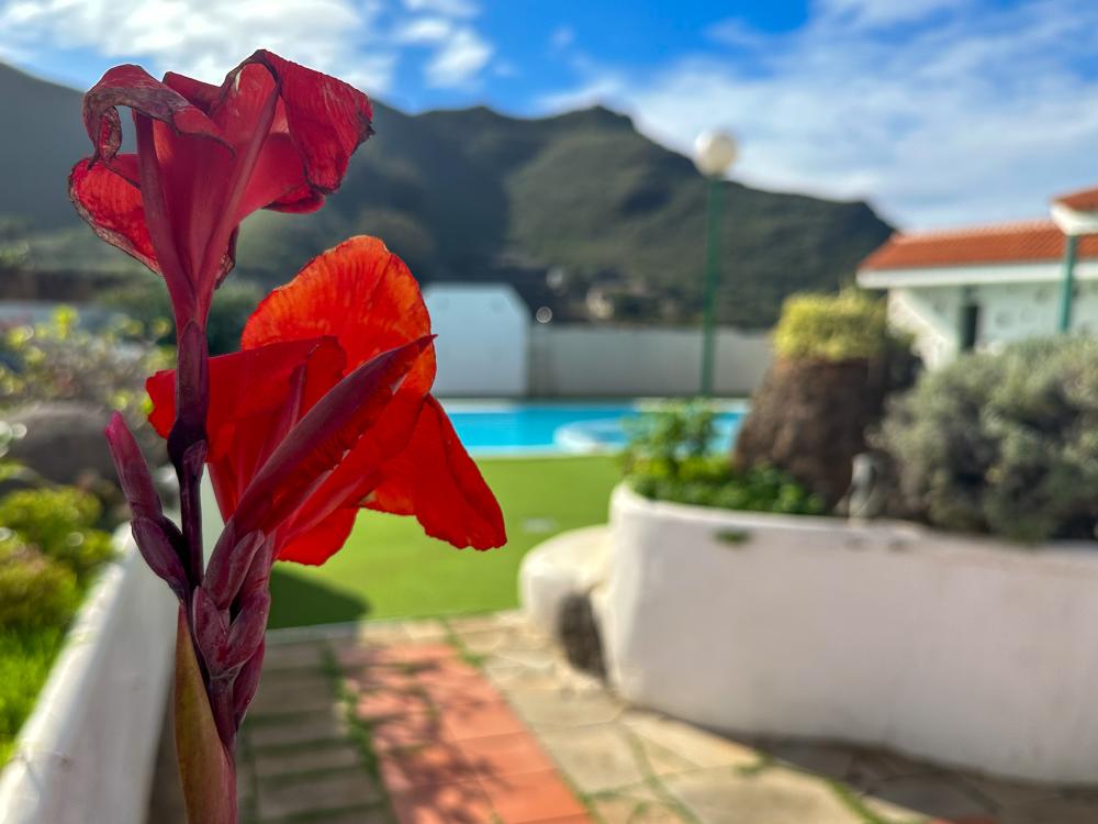  for sale country house El Socorro Zona Metropolitana 24