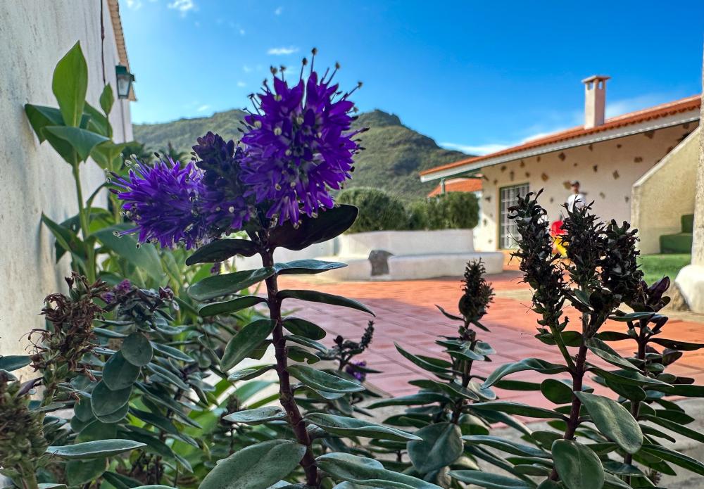  for sale country house El Socorro Zona Metropolitana 22