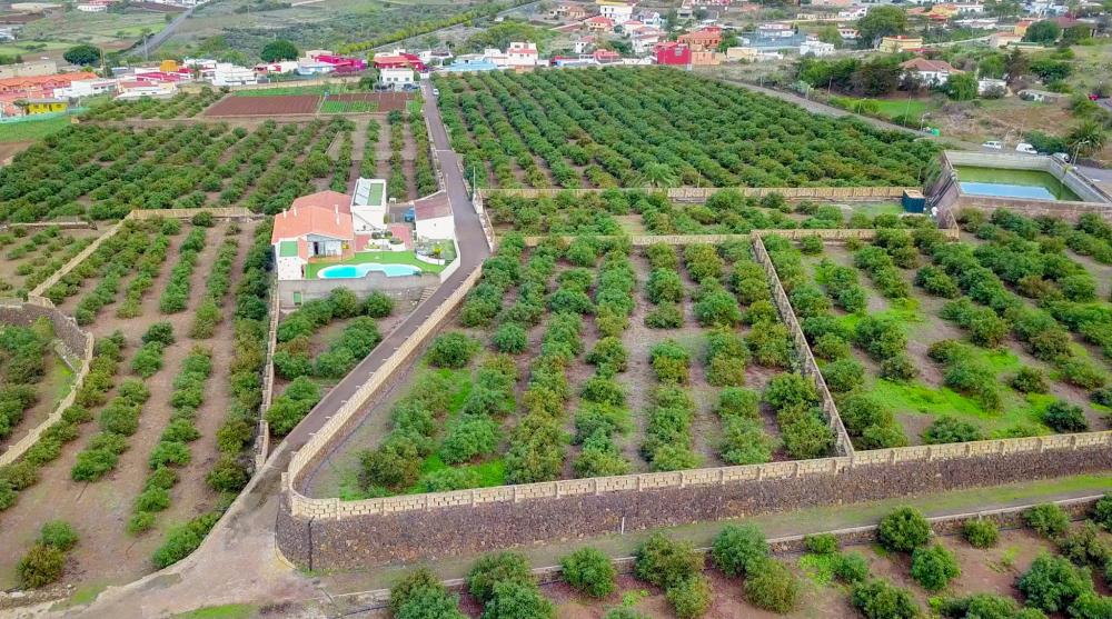 for sale country house El Socorro Zona Metropolitana 4